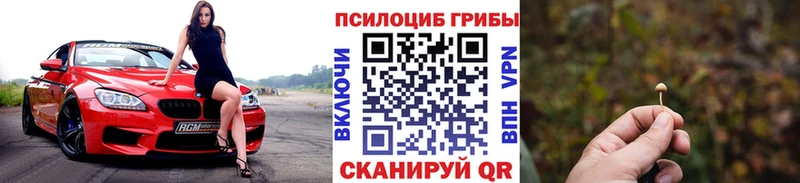 Псилоцибиновые грибы Psilocybine cubensis  Купить закладки  Шелехов 